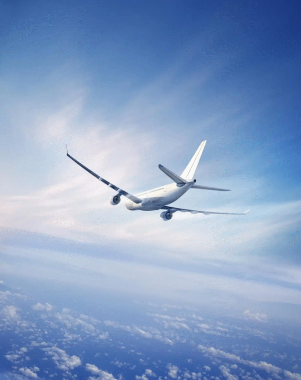 ‌Flight Booking - Image 2