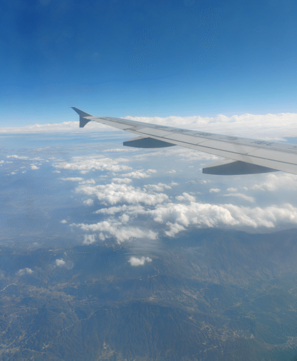‌Flight Booking