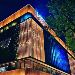 Private-Half day night cruise on the Huangpu River+China's largest bar