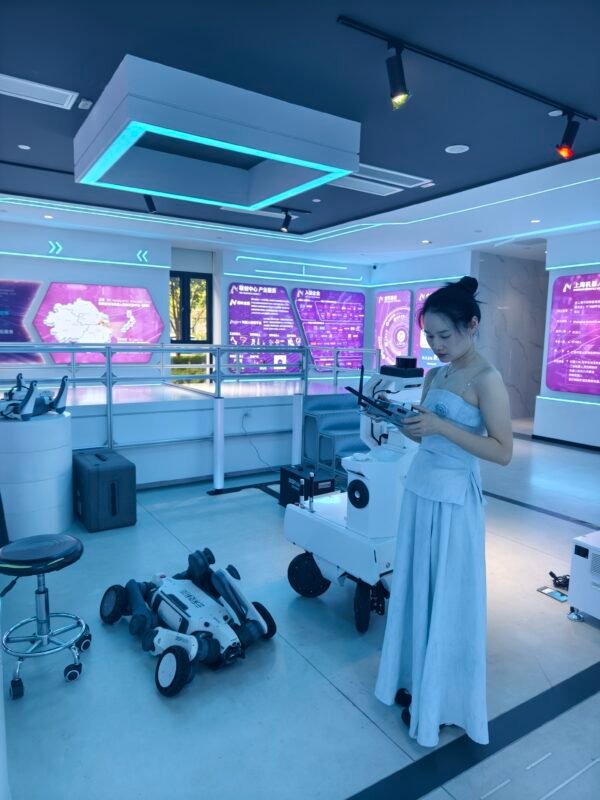 Shanghai drone delivery + robot soccer day trip itinerary - Image 2